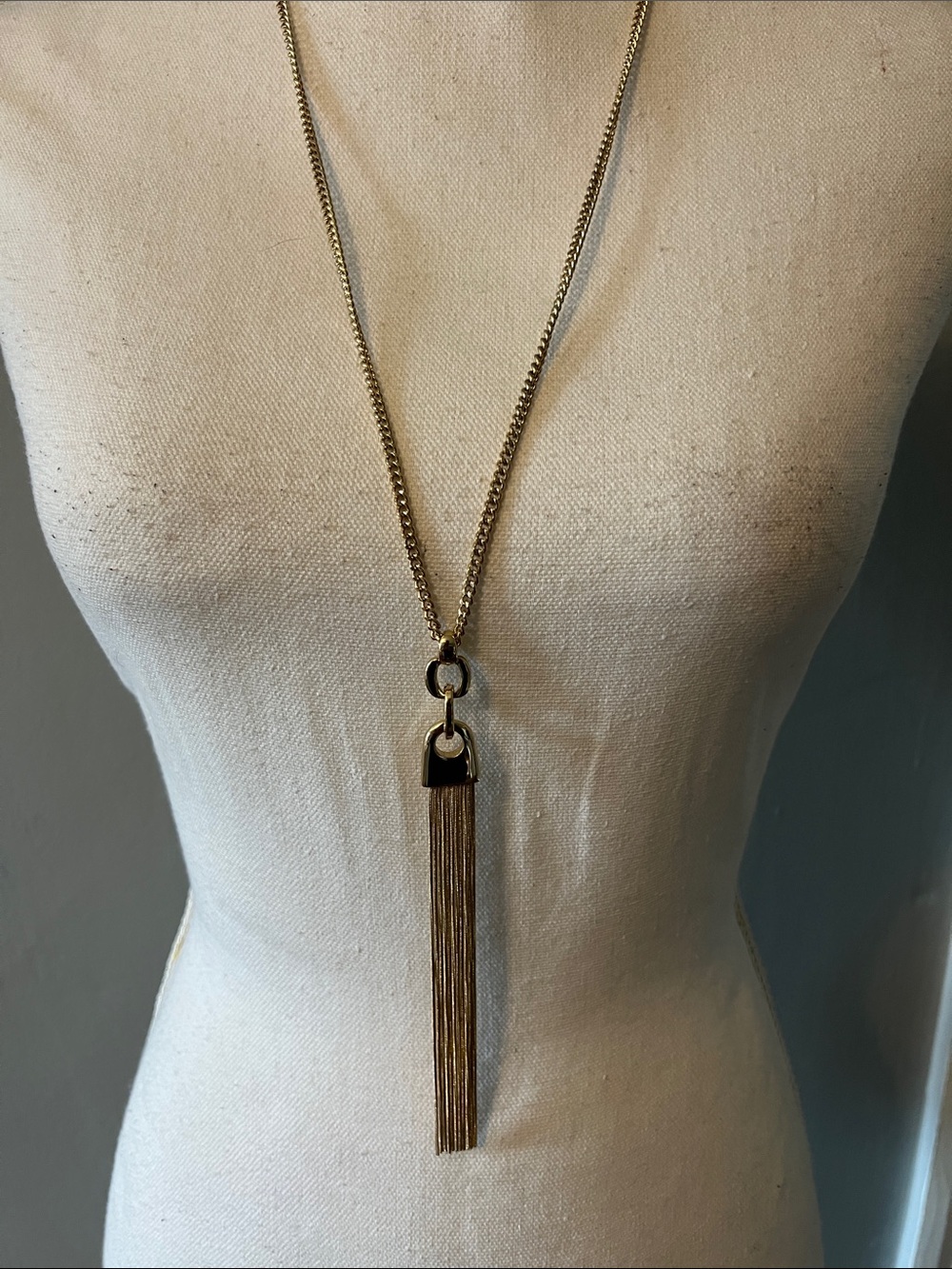 The Limited Gold Long Tassel Pendant Necklace